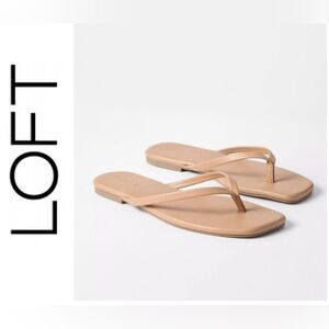LOFT Square-Toe Flip Flop Sandals Size 7 NEW